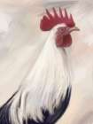 Farm Rooster Art Print