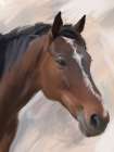 Farm Horse Art Print