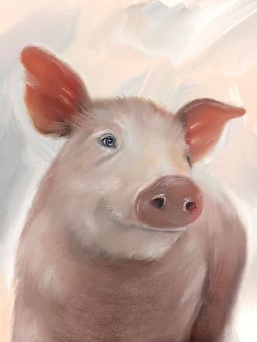 Farm Pig Art Print
