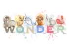 Inspirational Wonder Art Print