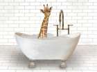 Giraffe In Bathtub Bathroom Art Print