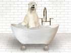 Polar Bear In Bathtub Art Print