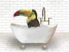 Toucan In Bathtub Art Print