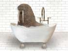 Walrus In Bathtub Art Print