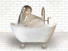 Walrus In Bathtub Bathroom Art Print