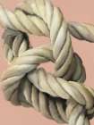Honeybloom Coastal Abstract Sailors Knot 2 Art Print