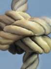 Honeybloom Coastal Abstract Sailors Knot 3 Art Print