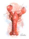 Honeybloom Coastal Seafood Lobster Art Print