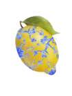 Providence Lemon Chinoiserie 1 Art Print