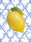 Providence Lemon Chinoiserie 3 Art Print