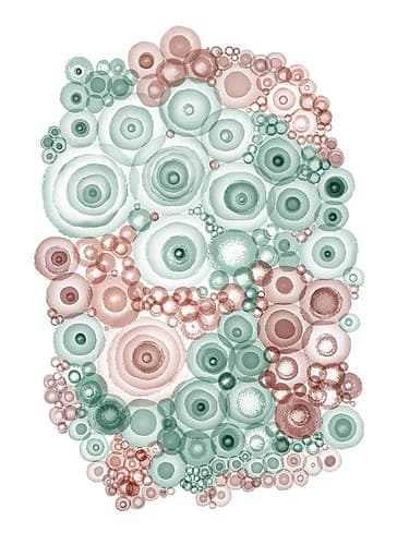 Abstract Ameba Triptych 2 Art Print