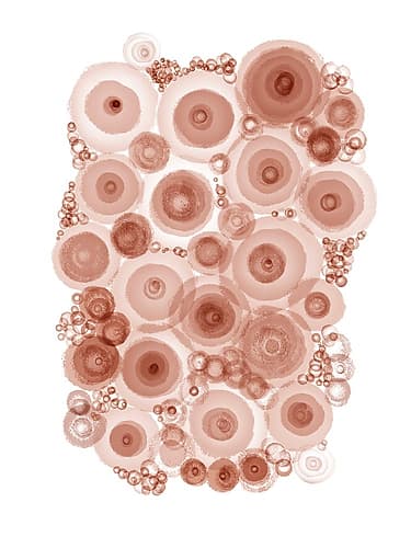 Abstract Ameba Triptych 3 Abstract Art Print