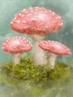 Mushroom Trio Art Print