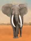 African Animal Elephant Landscape Art Print