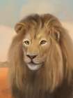 African Animal Lion Landscape Art Print