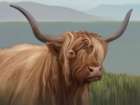 Animal Highland Cow Landscape Art Print