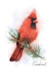Cardinal Art Deco Print