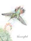 Hummingbird With Succulent Art Print