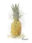Pineapple Still Life Print