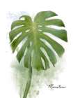 Monstera Minimalist Print