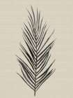Linen Botanical Date Palm Art Print