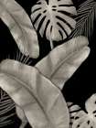 Botanical Fronds Black Art Print