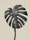Linen Botanical Leaf Art Print