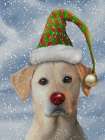 Christmas Cheeky Dog Hat Art Print