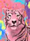 Pink Tiger Art Print