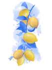 Providence Lemon Branch Blue Leaves Art Print
