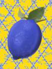 Providence Lemon Chinoiserie 11 Art Print