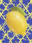 Providence Lemon Chinoiserie 12 Art Print