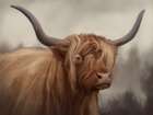 Highland Cow Light Grey Art Print