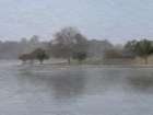 Landscape Lake Misty Reflections 3 Art Print