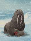 Mom And Baby Walrus Art Print