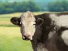 Farm Green Landscape Cow Art Print