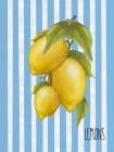 Lemons Art Print