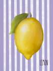Lemon Art Print