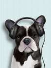 Music Dog French Bulldog Art Print