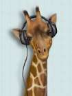 Music Giraffe Art Print