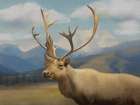Elk Art Print