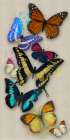 Butterflies Long Art Print