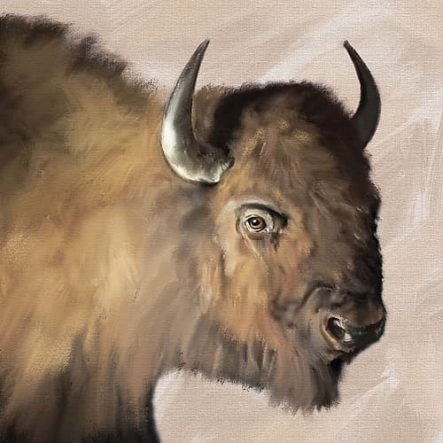 Western Buffalo Neutral Animals Print