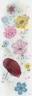 Smart Flower Series 1 Art Print