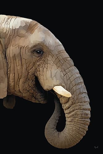 African Elephant Animals Print
