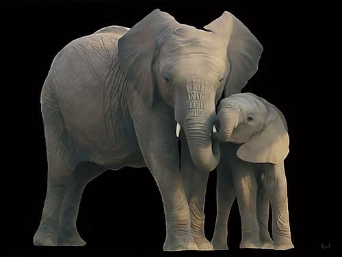 Elephant Mother And Child Animals Print