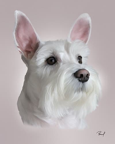 West Highland Terrier Penny Animals Print