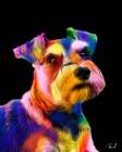 Schnauzer-Shelby Art Print