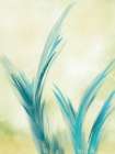 Abstract Bluegrass 1 Art Print