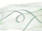 Runaway Ribbons Abstract Art Print